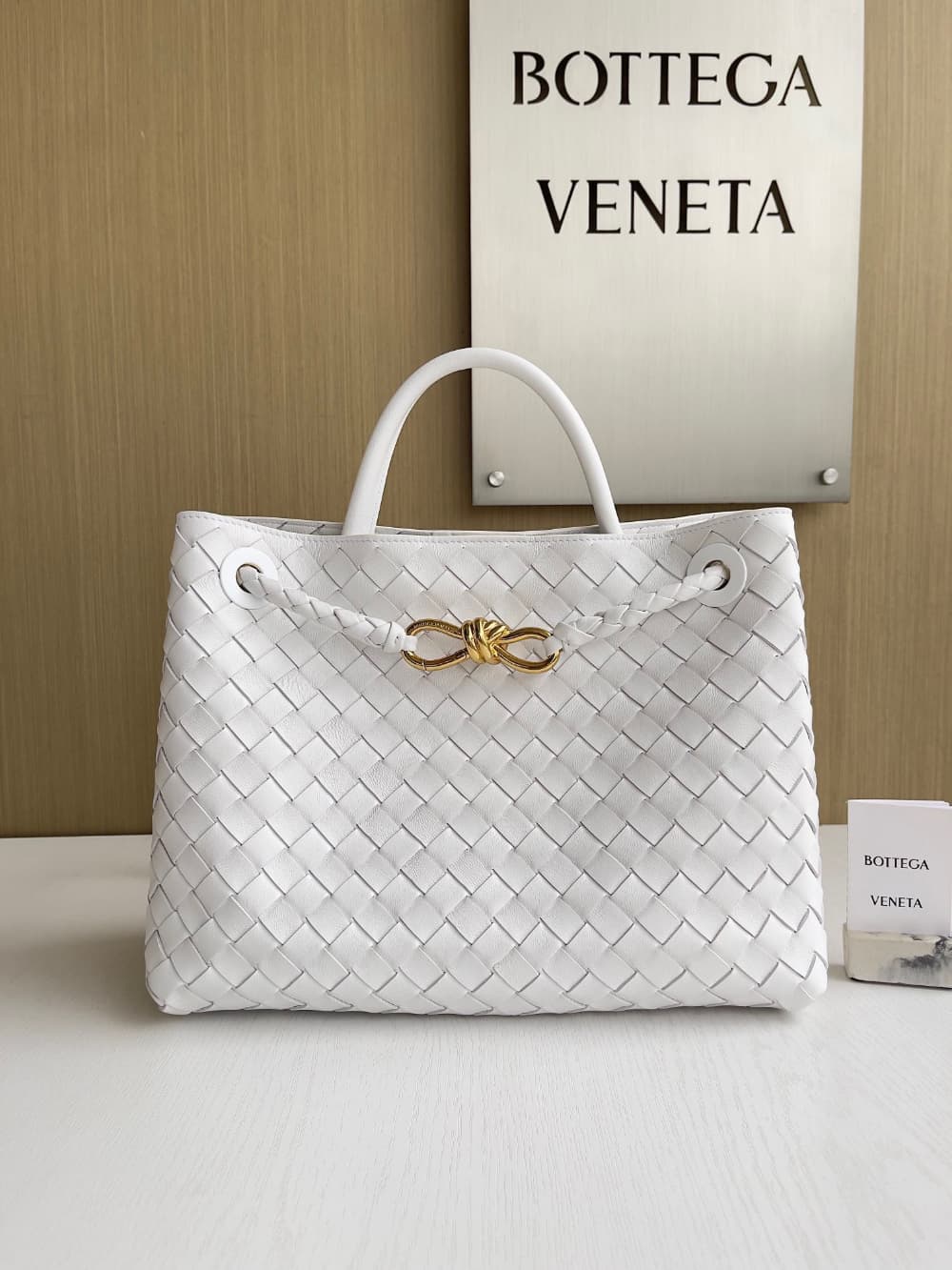 Bottega Veneta Andiamo Medium
