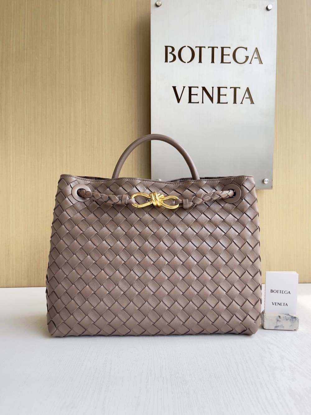 Bottega Veneta Andiamo Medium