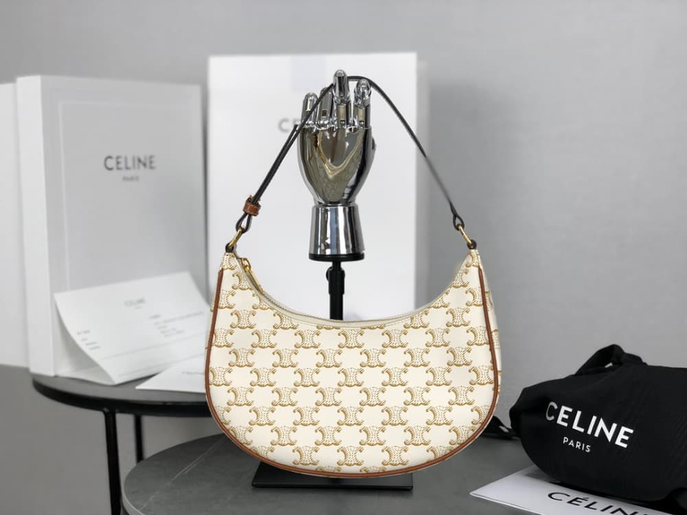 Celine Ava Bag in Triomphe Canvas and Calfskin