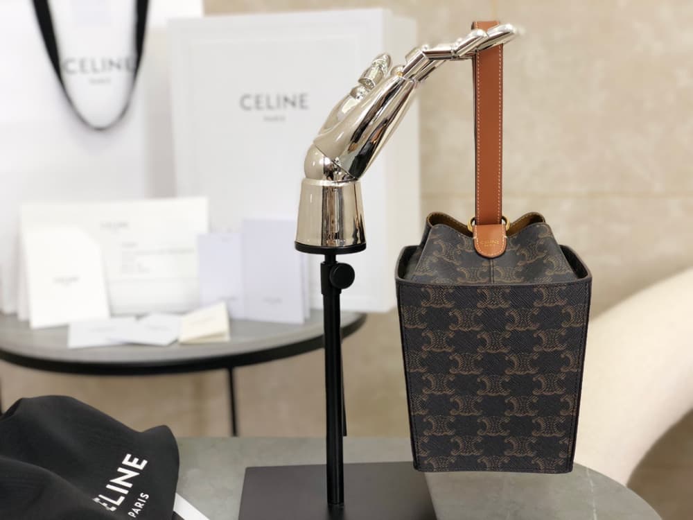 Celine Strap Box Triomphe Canvas and Calfskin