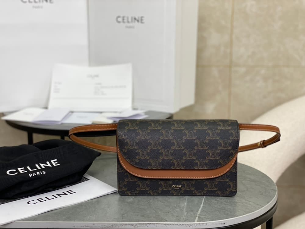 Celine Wallet on strap in Triomphe Canvas