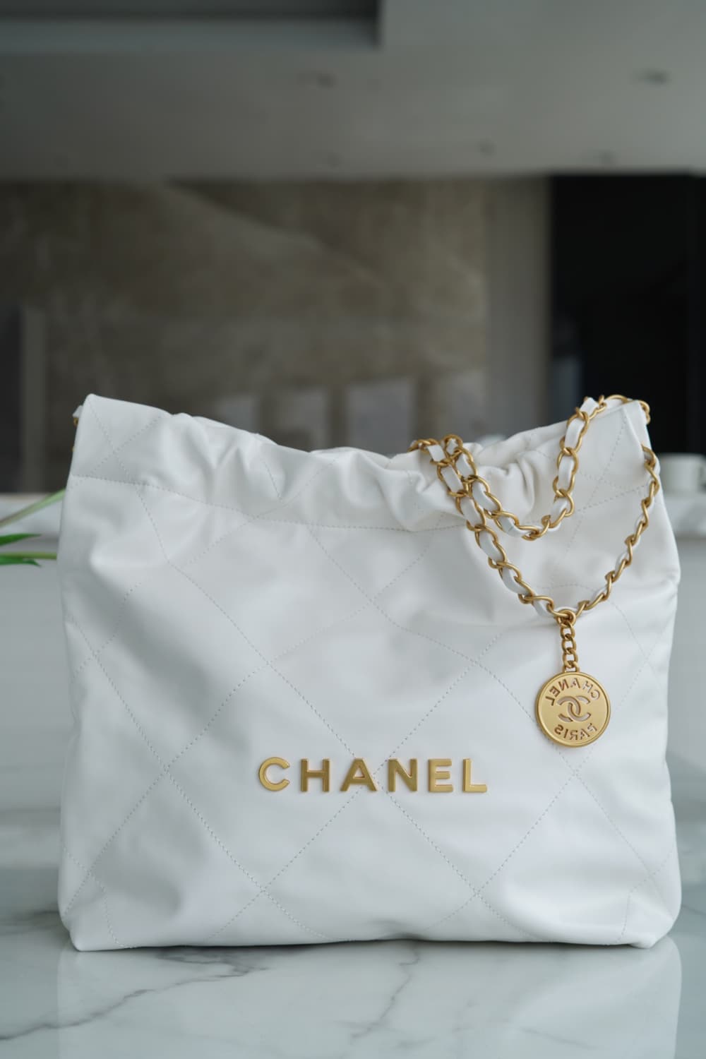 Chanel 22 Small