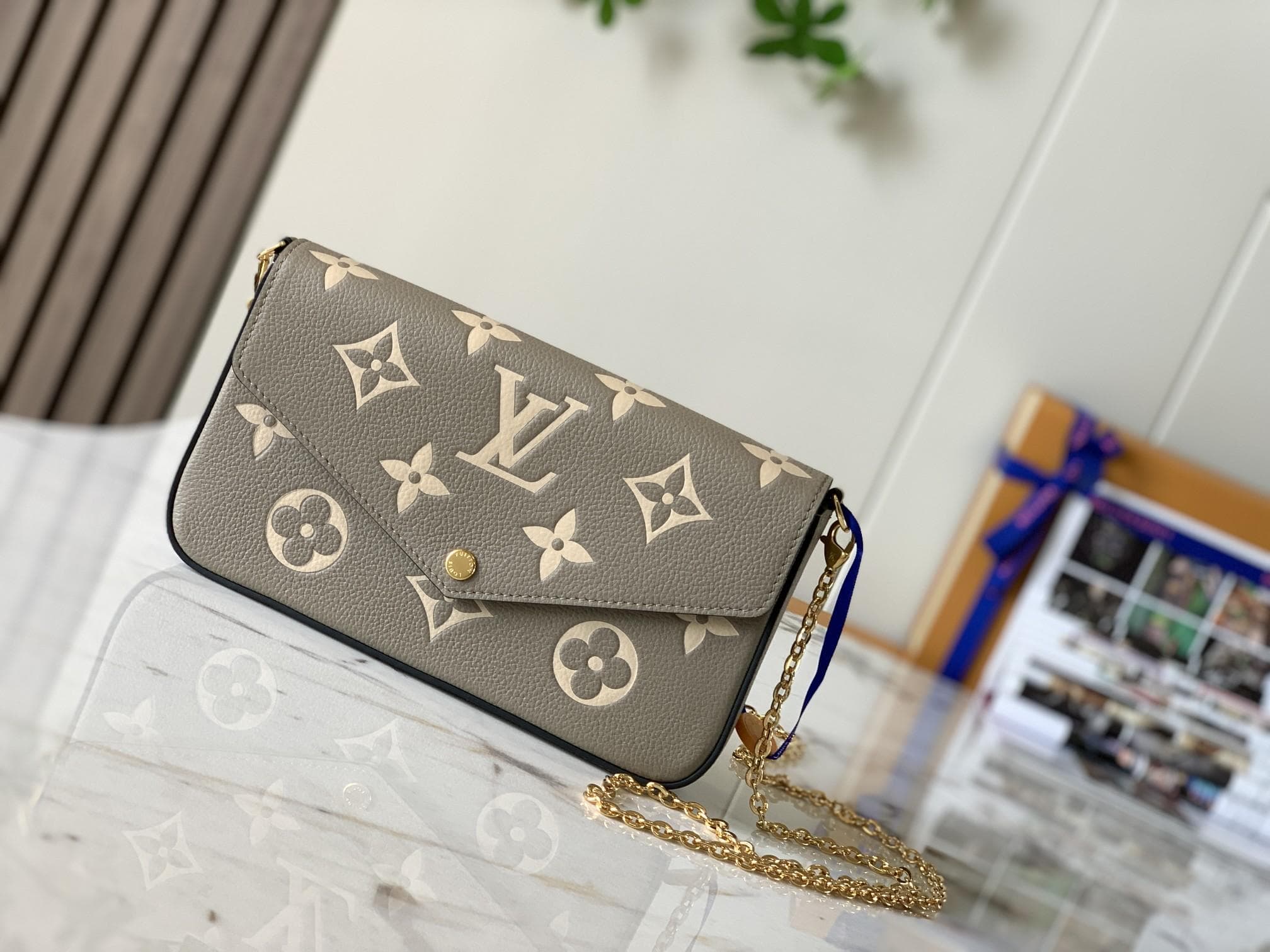 Louis Vuitton Felicie Pochette